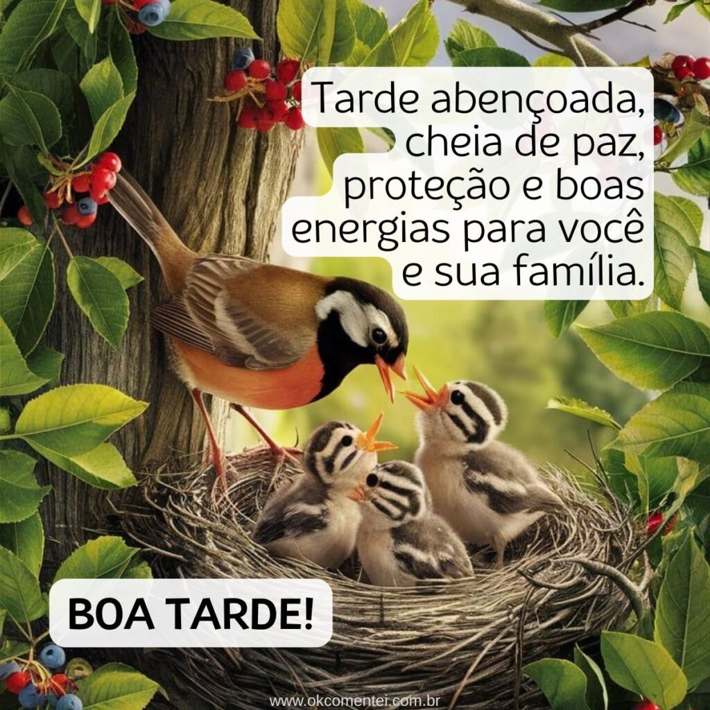 31 mensagens de boa tarde com carinho para WhatsApp mensagem-de-boa-tarde-com-carinho