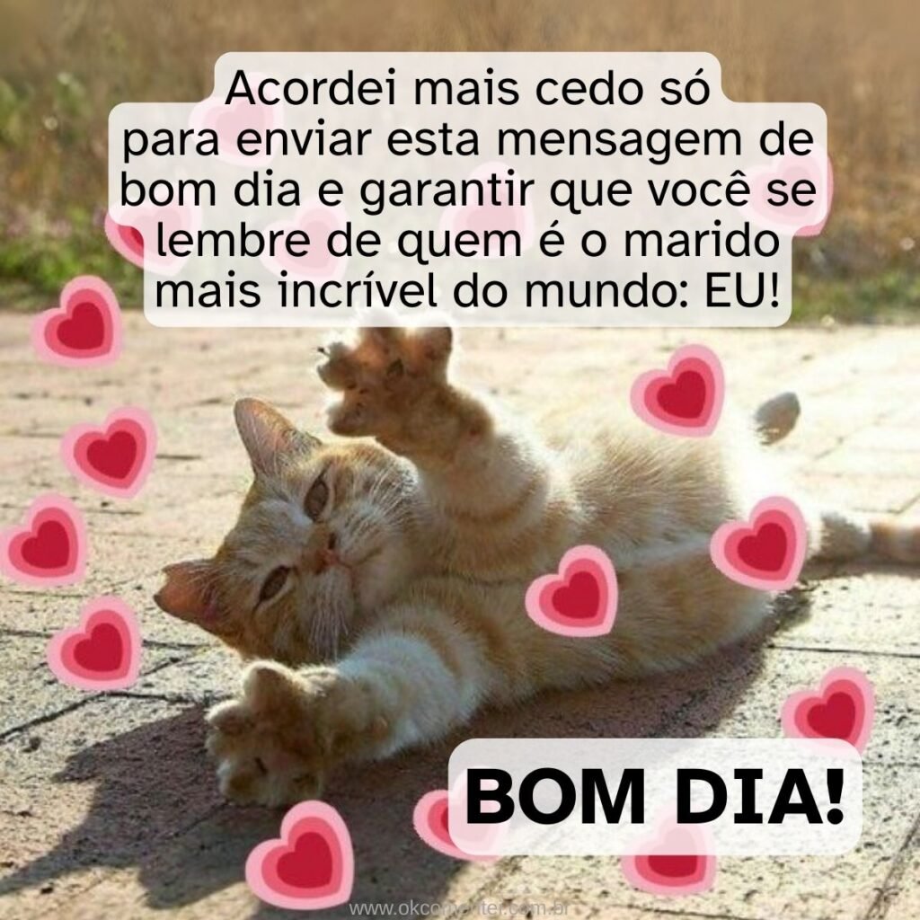 65 mensagens de bom dia para esposa para começar o dia com amor mensagens-de-bom-dia-para-esposa