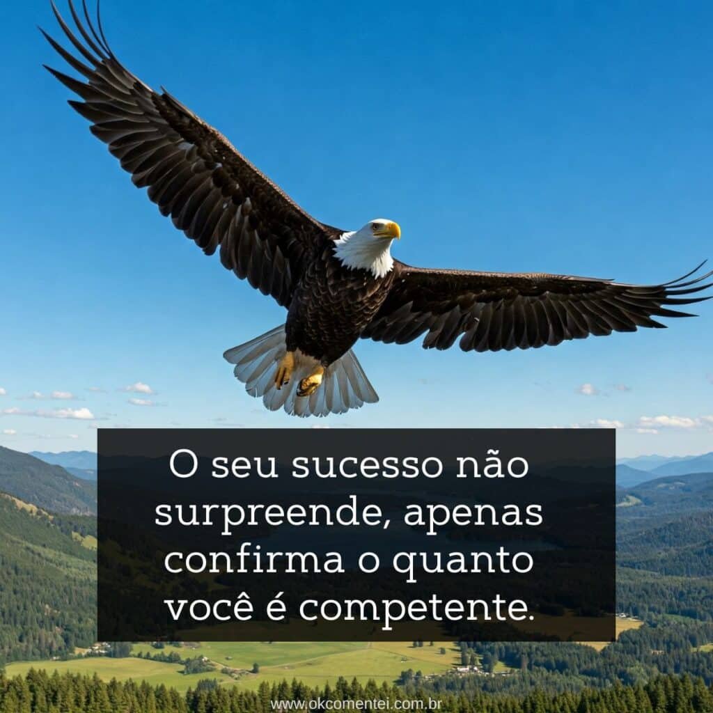 54 frases sobre sucesso profissional que inspiram e emocionam Frases-de-sucesso-profissional