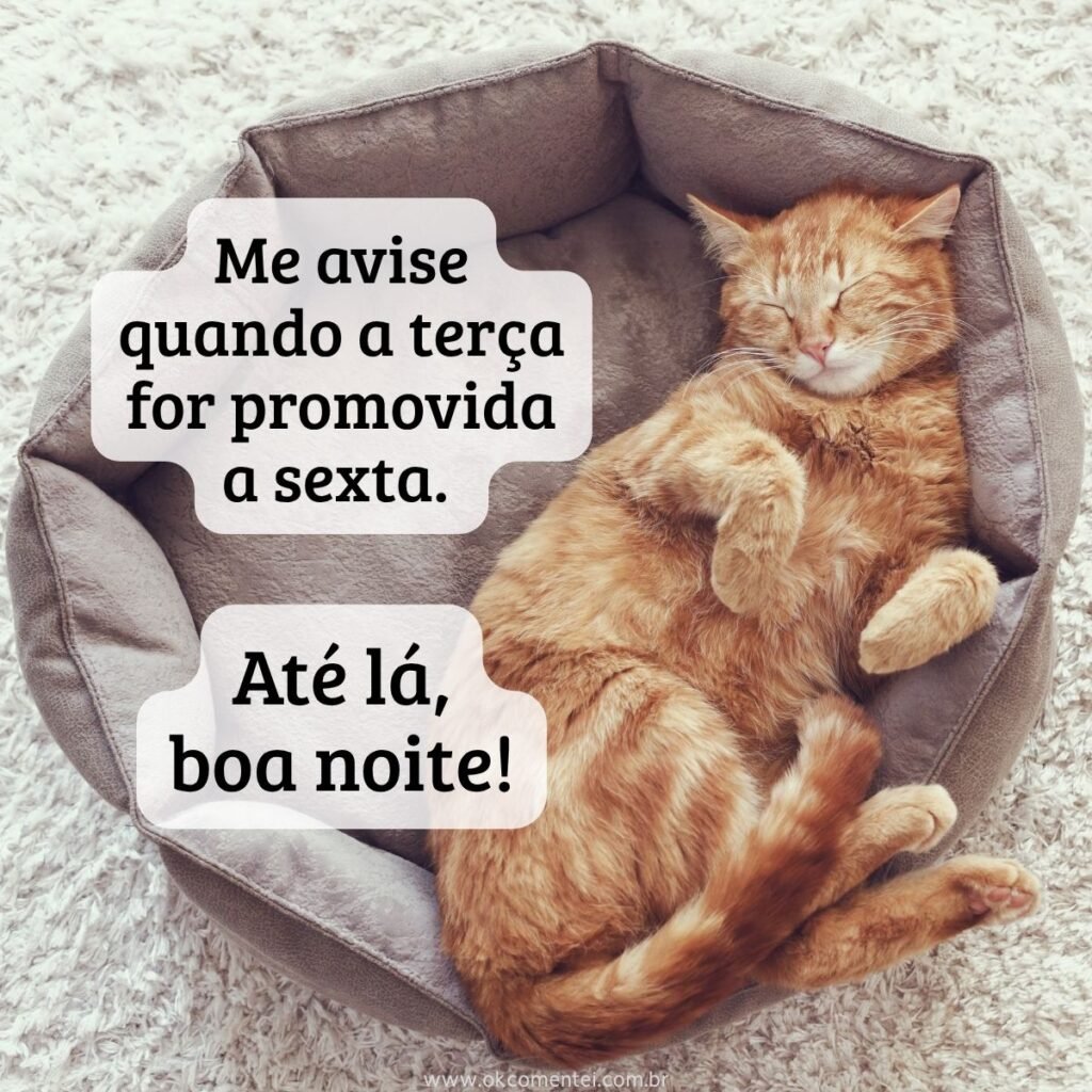Boa noite, terça-feira: 52 mensagens para encerrar o dia com positividade boa-noite-terça-feira