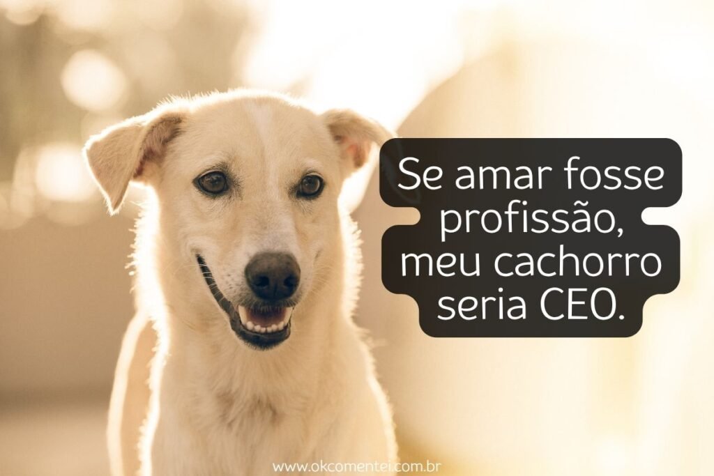 61 frases de cachorro para status que derretem o coração frases-de-cachorro-para-status