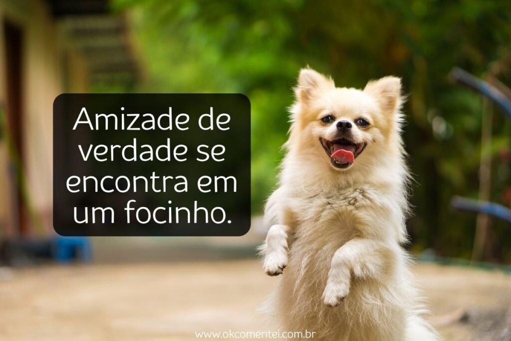 61 frases de cachorro para status que derretem o coração frases-de-cachorro-para-status