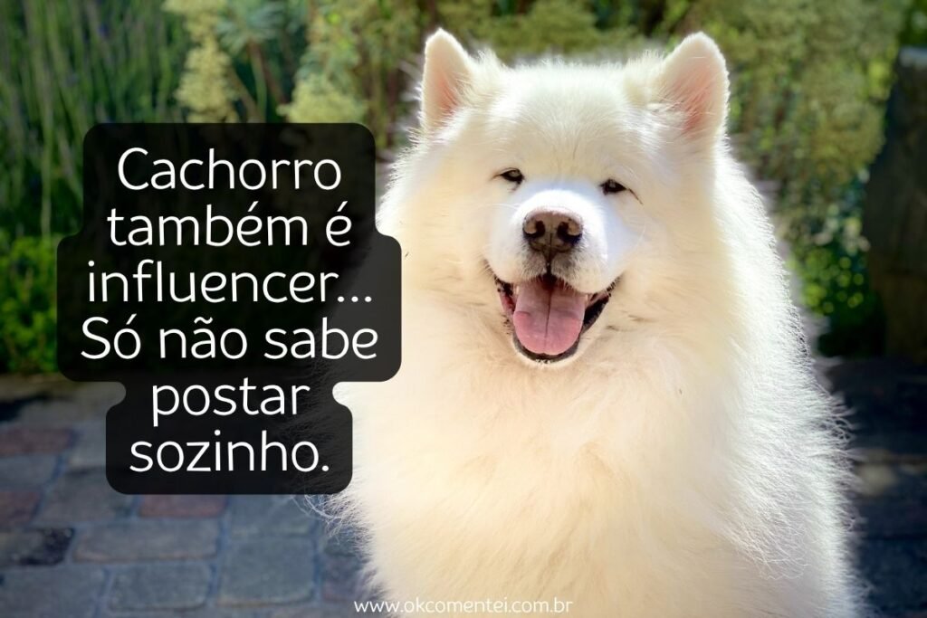 61 frases de cachorro para status que derretem o coração frases-de-cachorro-para-status