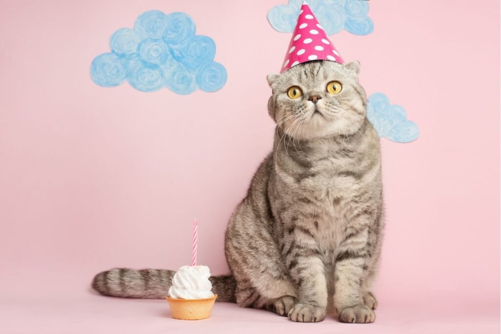 95 frases para convite de aniversário: ideias para emocionar, divertir e encantar frases-para-convite-de-aniversário