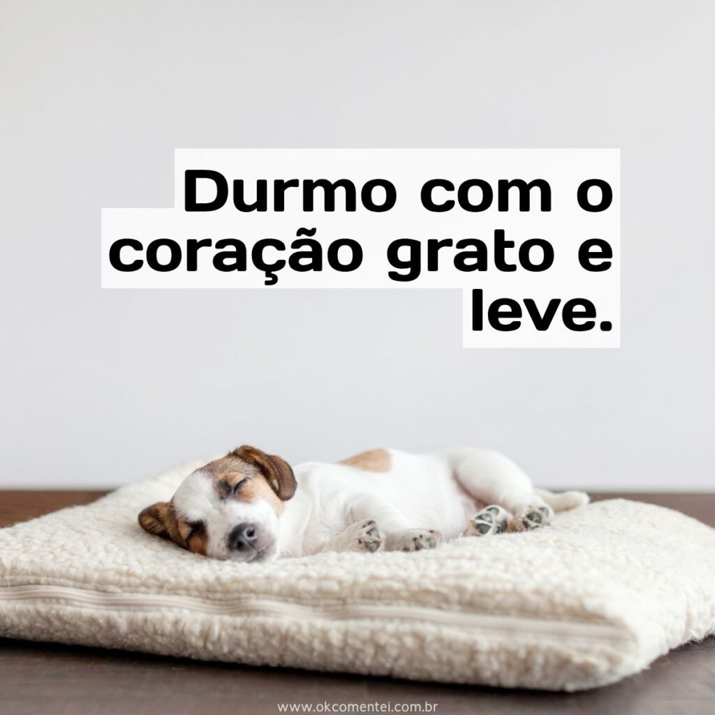 101 frases para pensamentos positivos de motivação e otimismo frases-para-pensamentos-positivos