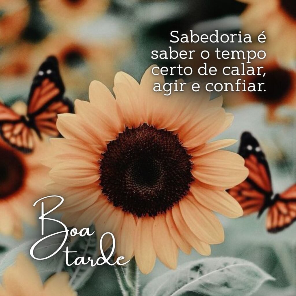 110 mensagens de boa tarde abençoada para compartilhar luz, fé e positividade mensagem-boa-tarde-abençoada