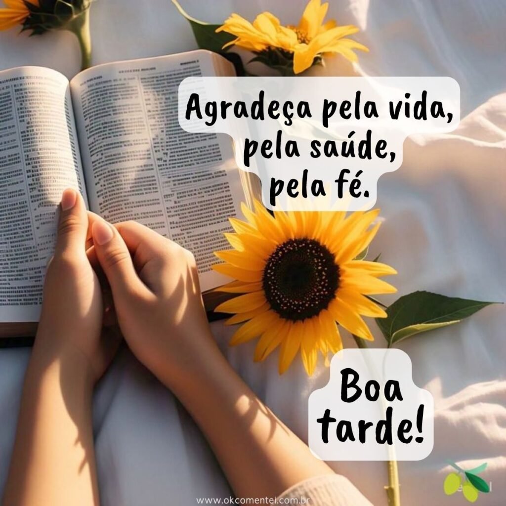 110 mensagens de boa tarde abençoada para compartilhar luz, fé e positividade mensagem-boa-tarde-abençoada