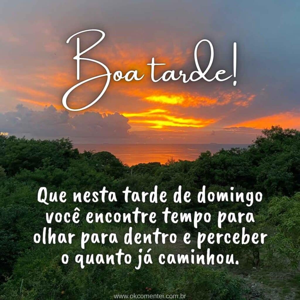 Boa tarde, domingo: 52 mensagens para deixar seu final de semana mais especial boa-tarde-domingo