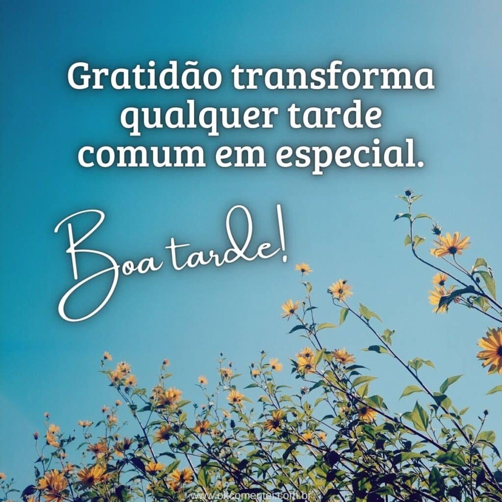 61 mensagens de boa tarde: o guia completo para inspirar e conectar mensagens-de-boa-tarde